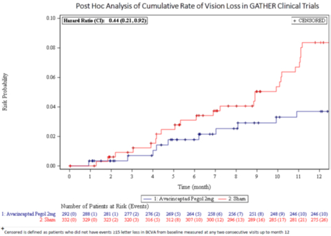 Post-Hoc Analysis of Cumulative Rate of Vision in GATHER Clinical Trials (Photo: Business Wire)